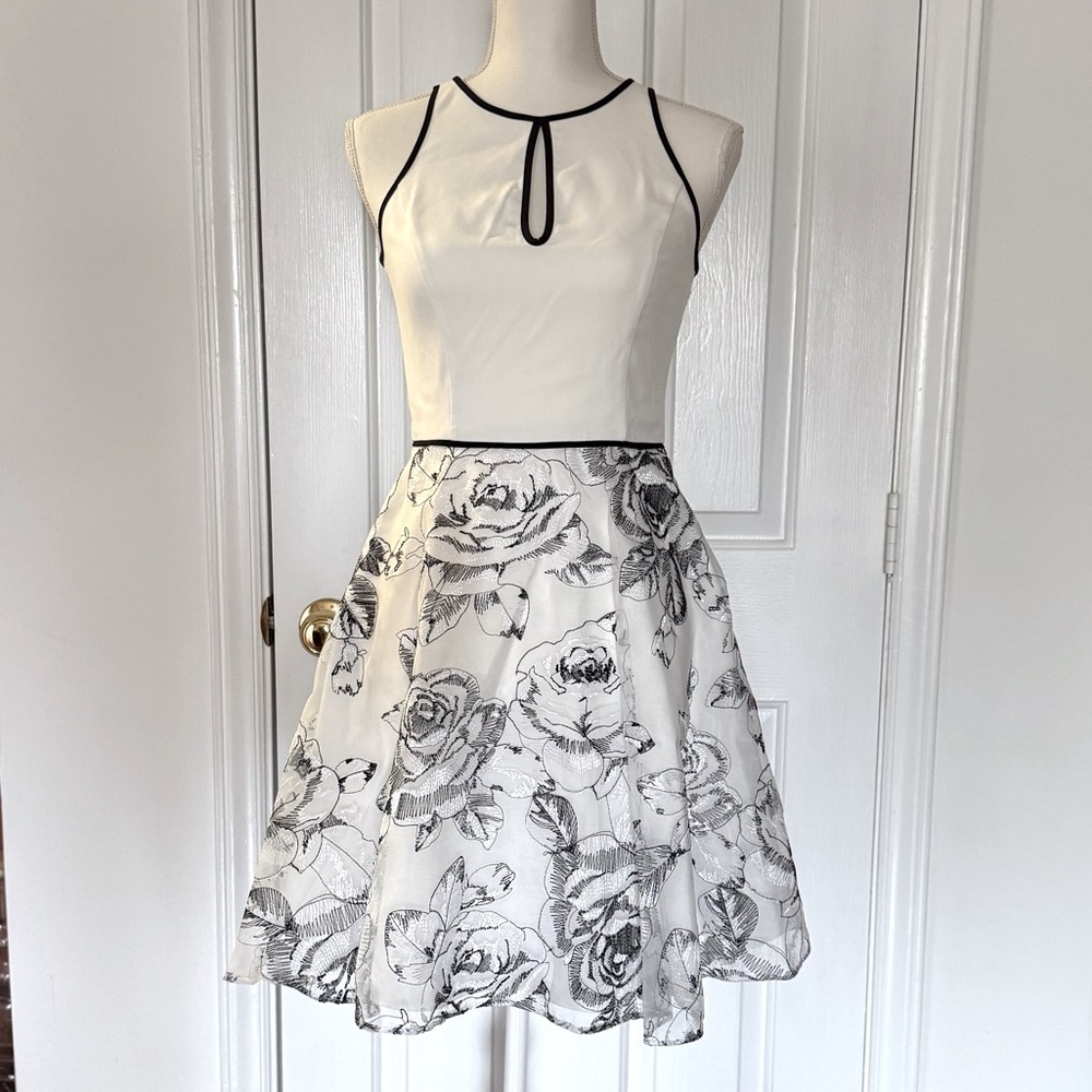 “AIDAN MATTOX” Embroidered Floral Rose Dress